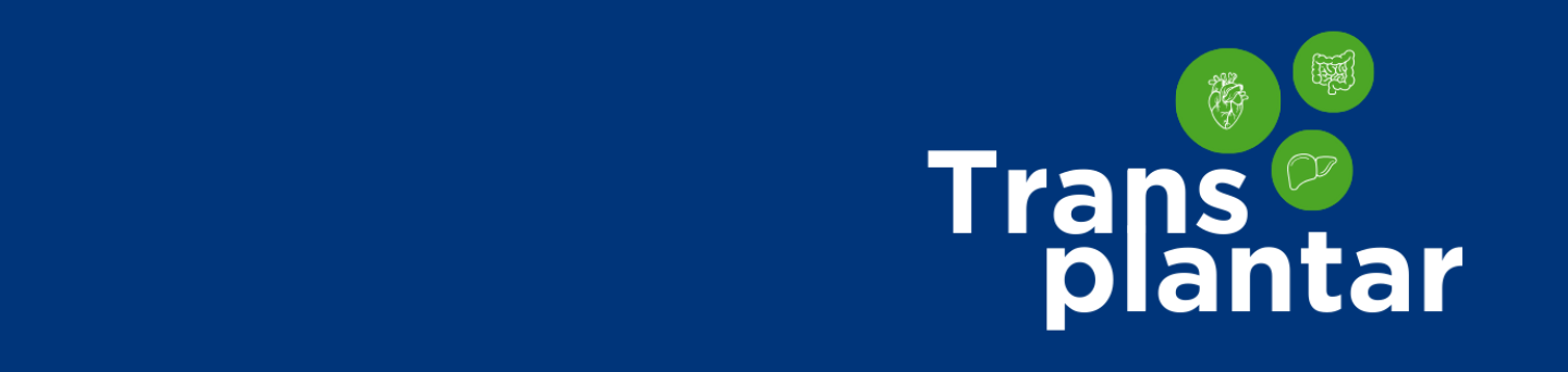 banner-projetos-portal-1380-x-400-px-1.png