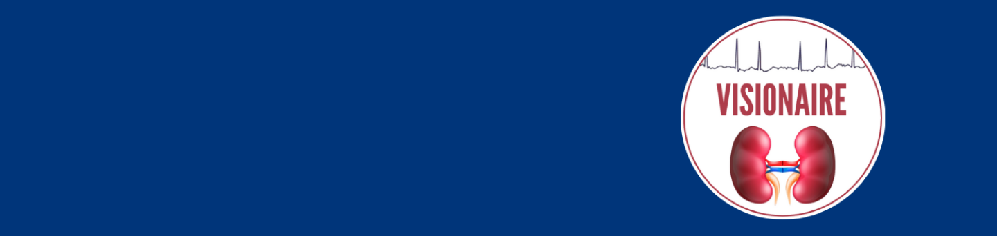 visionaire-banner.png