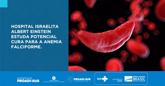 Estudo inovador do Hospital Israelita Albert Einstein avalia tratamento potencialmente curativo para a anemia falciforme 