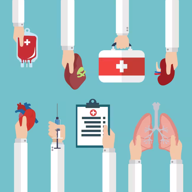 Transplantes: como o Hospital Israelita Albert Einstein qualifica profissionais de saúde do SUS pelo Brasil