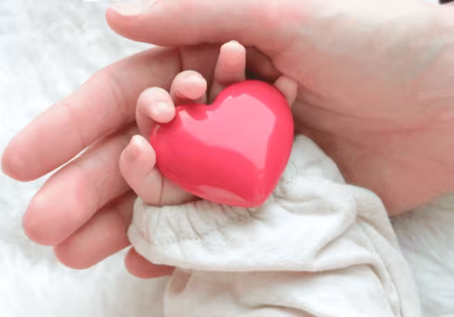 Início das atividades do Projeto de Diagnóstico Situacional em Cardiopatia Congênita no RS